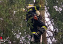 Stmk: Katze in Berndorf (Hitzendorf) vom Baum geholt