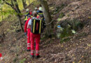 Nö: Frau bei Böschungssturz am Rehberg bei Krems schwer verletzt