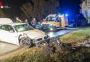 Nö: Pkw fällt in Gedersdorf einen Baum → ein Verletzter