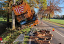 D: Baum bewahrt 96-Tonnen-Schwerlastkran vor dem Umstürzen