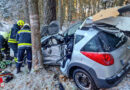 Nö: Lenkerin kracht bei Waldhausen mit Pkw gegen Baum → eingeklemmt