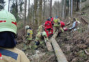 Sbg: Verletztentransport nach Forstunfall in Kuchl