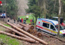 Nö: Kranführer in Pöggstall bei Verladearbeiten von Baumstamm getroffen