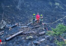 Stmk: Einsatz des Waldbrandzuges des BFV Bruck in Wildalpen