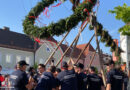 Oö: FF Attnang und FF Puchheim stellten gemeinsam den Maibaum auf 