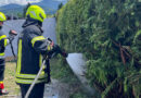 Stmk: Brand einer Hecke in Zeltweg