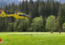 Stmk: Verletztenversorgung nach Forstunfall in Neuberg an der Mürz