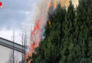 Schweiz: Mehrere Meter hohe Zypressen nach Unkrautvernichtung in Brand