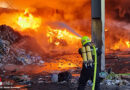 Nö: Feuerwehrmann entdeckt bei Sperrmüll-Großbrand zurückgelassenes Wildkatzen-Baby