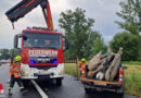 Nö: Verkehrsunfall mit einem Bär und einem Elefanten auf der S5 bei Grafenwörth