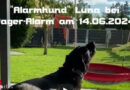 Feuerwehrhund „Luna“ bei Pager-Alarm in Aktion