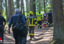 Oö: 73-Jähriger in Rainbach im Mühlkreis von Traktor überrollt