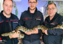 D: Erster Einsatz für die Fachgruppe „Schlangen und Reptilien“ der Feuerwehr Böblingen