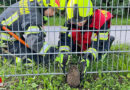 Nö: Igel steckt in Baden im Zaun fest