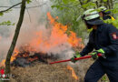 D: Waldbrandübung in Herdecke → erst Theorie, dann Praxis im Wald