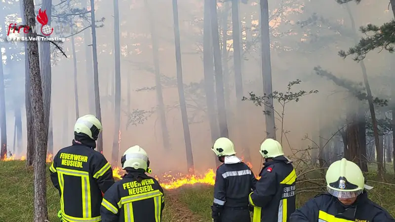 N-Waldbrand-in-Hernstein-noch-rechtzeitig-entdeckt-Landwirte-unterst-tzen-mit-G-llef-ssern