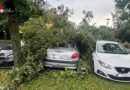 Stmk: Unwetter mit orkanartigen Böen sorgen am 12. Juli 2024 für Einsätze in Weiz