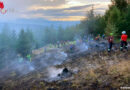 Bgld: Waldbrand auf der Rosalia forderte die Feuerwehren aus Niederösterreich und dem Burgenland