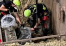 D: Wasser-Eintritt durch die Decke im Kirchenschiff des Doms in Frankfurt