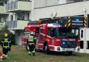 Nö: Unterstützungseinsatz der Feuerwehr Wiener Neudorf nach Festnahme eines Einbrechers