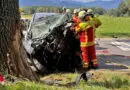 Bayern: 54-Jährige bei Pkw-Anprall an Baum bei Saaldorf ums Leben gekommen