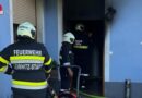 Stmk: Gerettete und tote Katze bei Zimmerbrand in Wohnhaus in Leibnitz