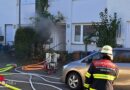 Bayern: Feuerwehr rettet Katze bei Kellerbrand in München