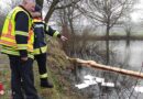 D: Einsatz bei Gewässerverunreinigung durch Motorroller in Celle