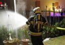 Stmk: Thujenbrand am Silvesterabend in Spielberg