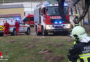 Oö: Mann bei Forstarbeiten in Gaspoltshofen in steilem Waldstück abgestürzt