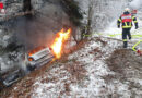 Oö: Auto brennt nach Kollision mit Baum in Pfarrkirchen im Mühlkreis