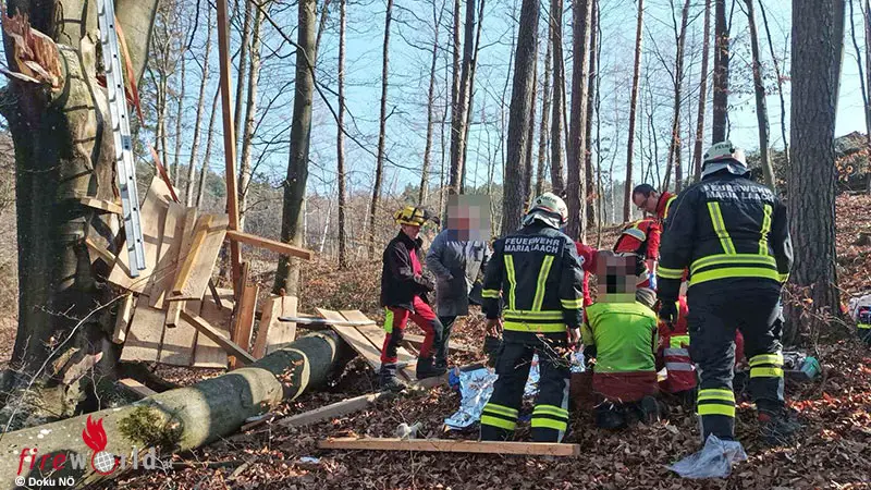 N-Forstunfall-bei-Maria-Laach-Mann-von-Baum-getroffen