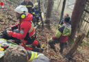 Nö: Arbeiter nach Forstunfall im schwierigsten Gelände in Waidhofen /Ybbs gerettet